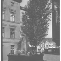foto.lebork.org-093