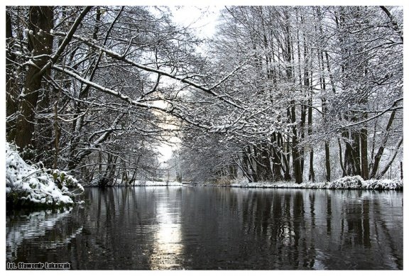 foto.lebork.org-1029