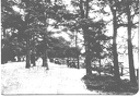foto.lebork.org-172