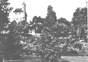foto.lebork.org-178
