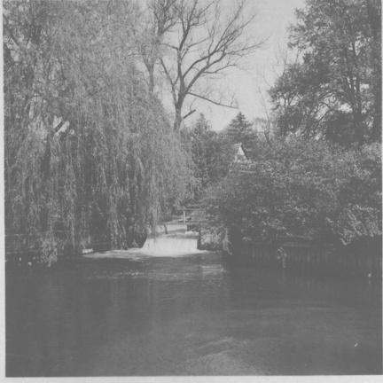 foto.lebork.org-236