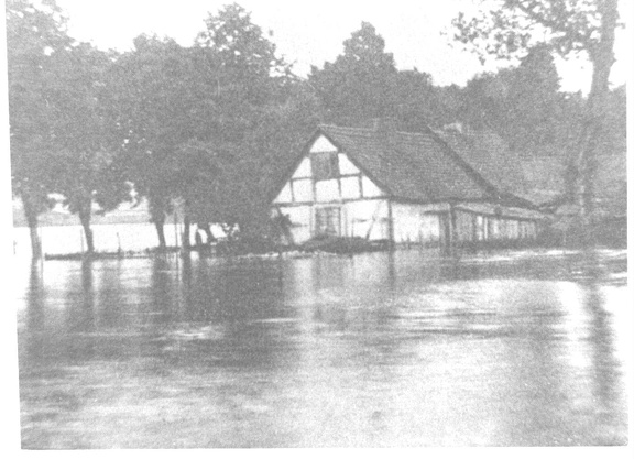 foto.lebork.org-248