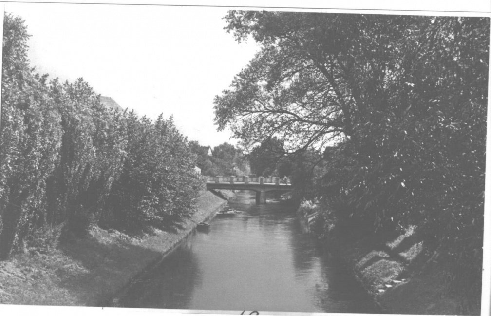 foto.lebork.org-276