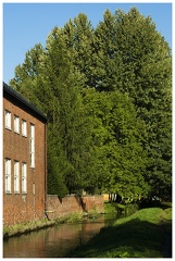 ZSMI