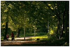 Park Chrobrego