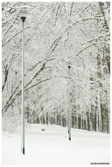 Park Chrobrego w zimowej szacie