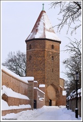Baszta bluszczowa