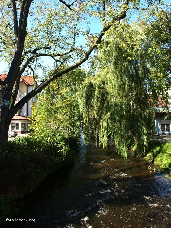 Nad rzeką Łebą