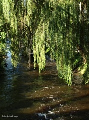Nad rzeką Łebą