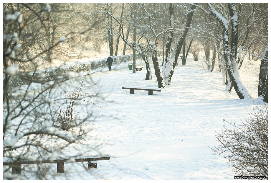 zima2012 1